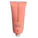 PASTA MODELANTE SEMIBRILLANTE 100 ML