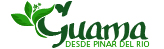 Guamá
